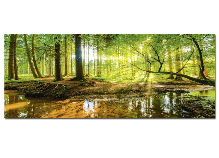 Landschaft - Hochwertiges Leinwandbild auf Keilrahmen, in Farbe GRÜN Ansicht 1